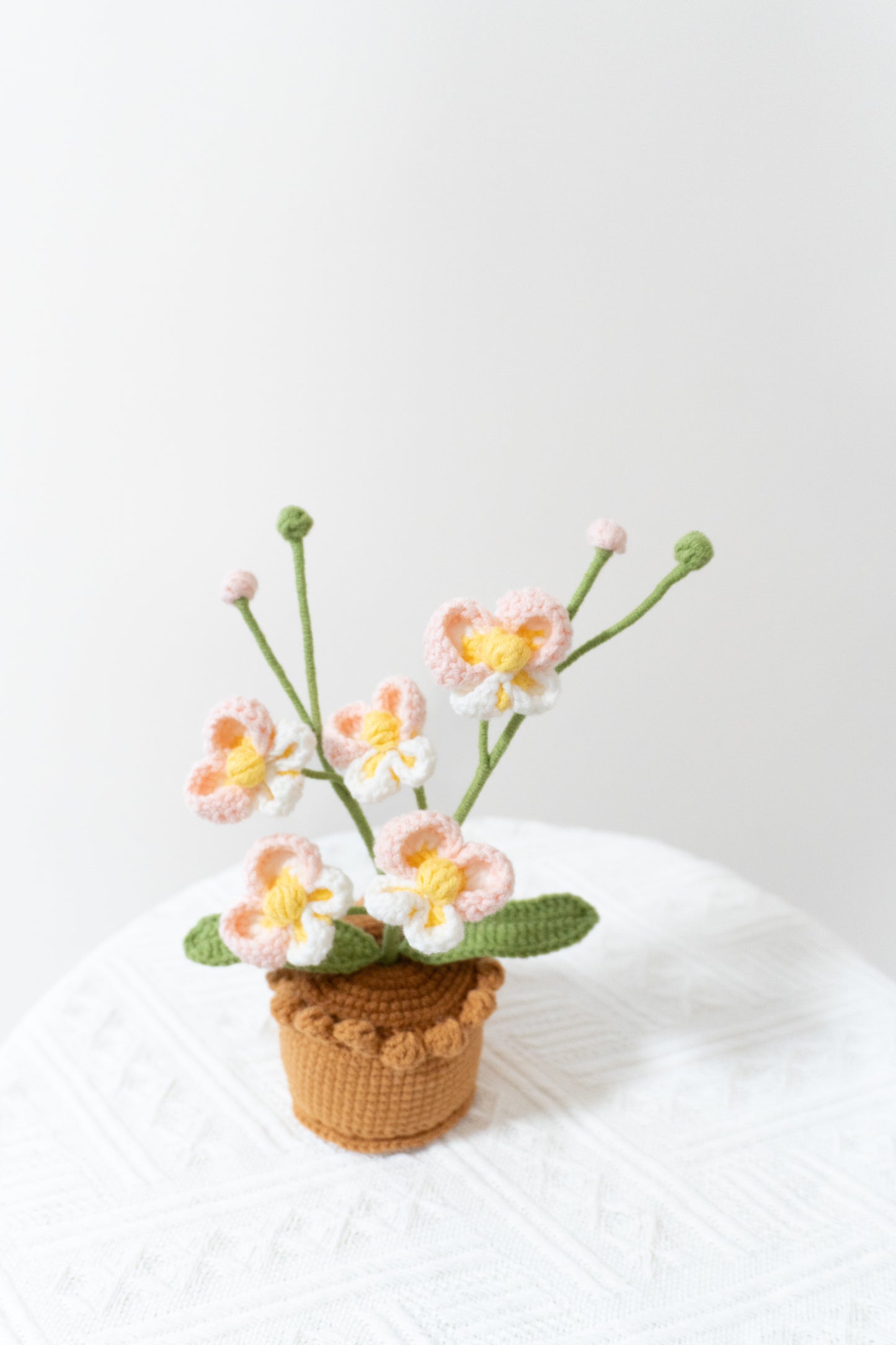 Cherry blossoms 🌹난초 미니 화분