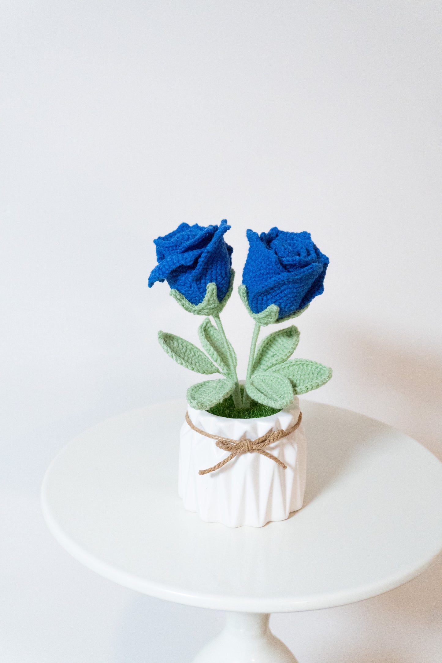 Rose🌹Braided rose small pots, multiple colors available