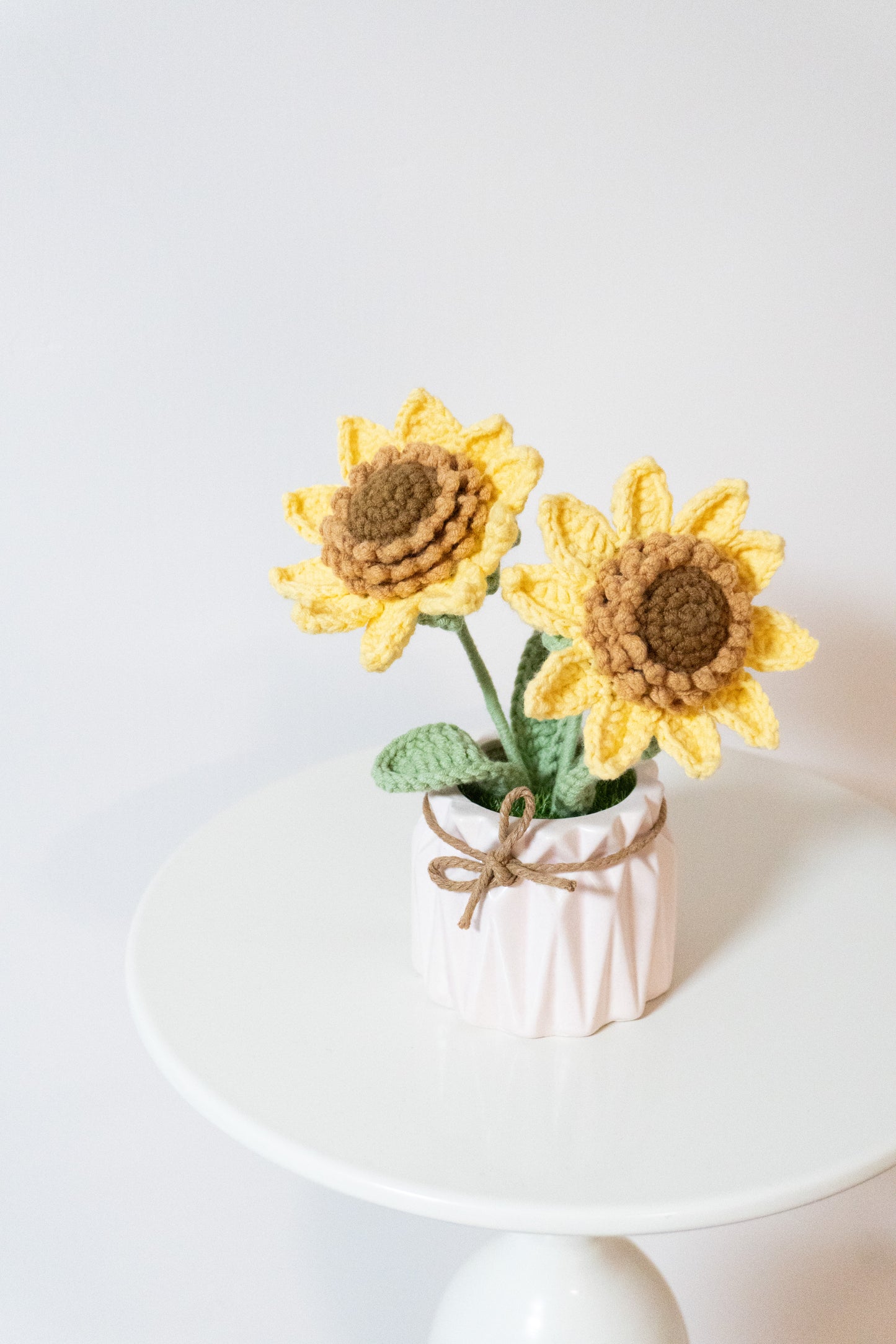 Twin Sunflower🌻Double head sunflower woven flower small pot