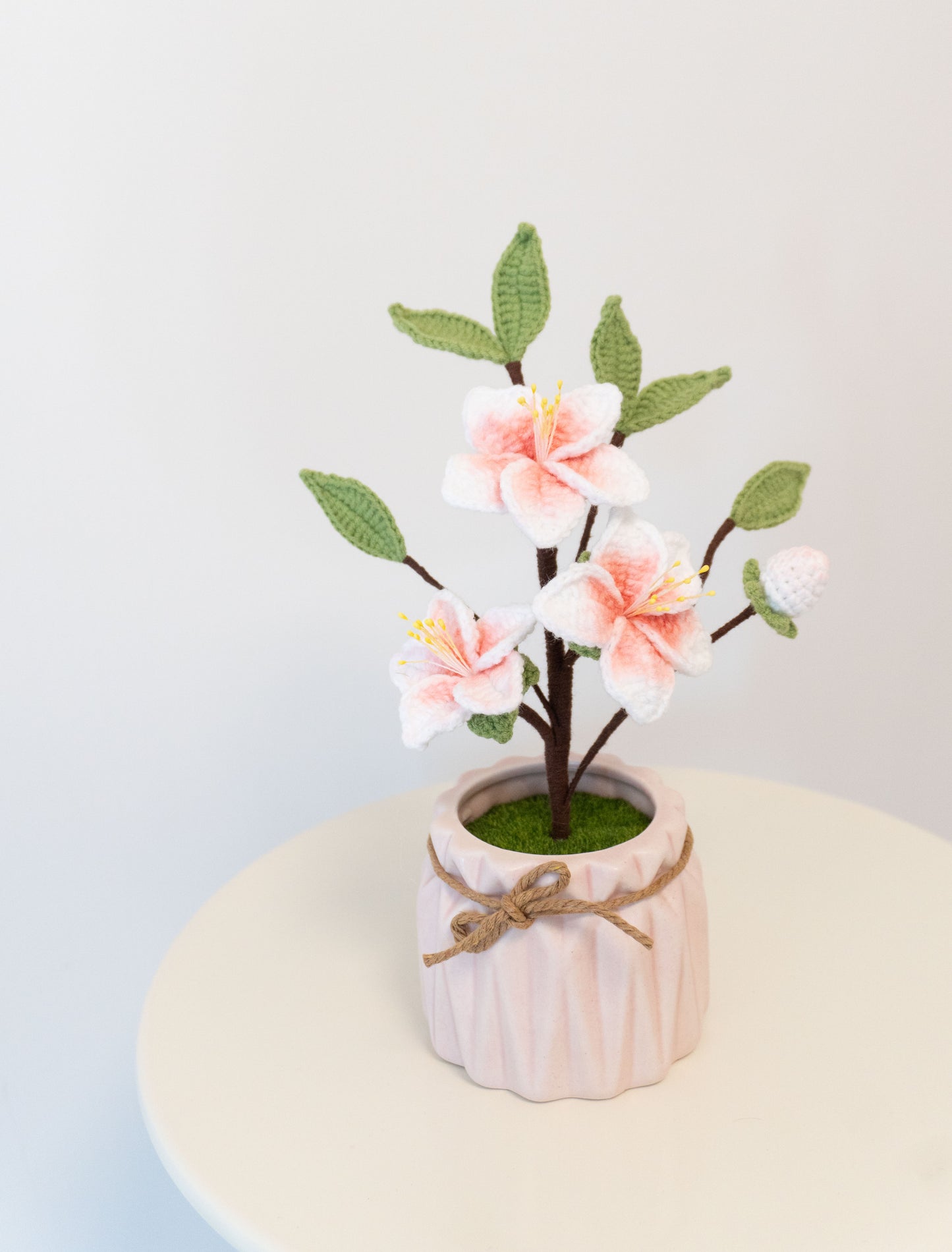 더 블룸스🌸 복숭아꽃 무늬로 엮은 화분 식물