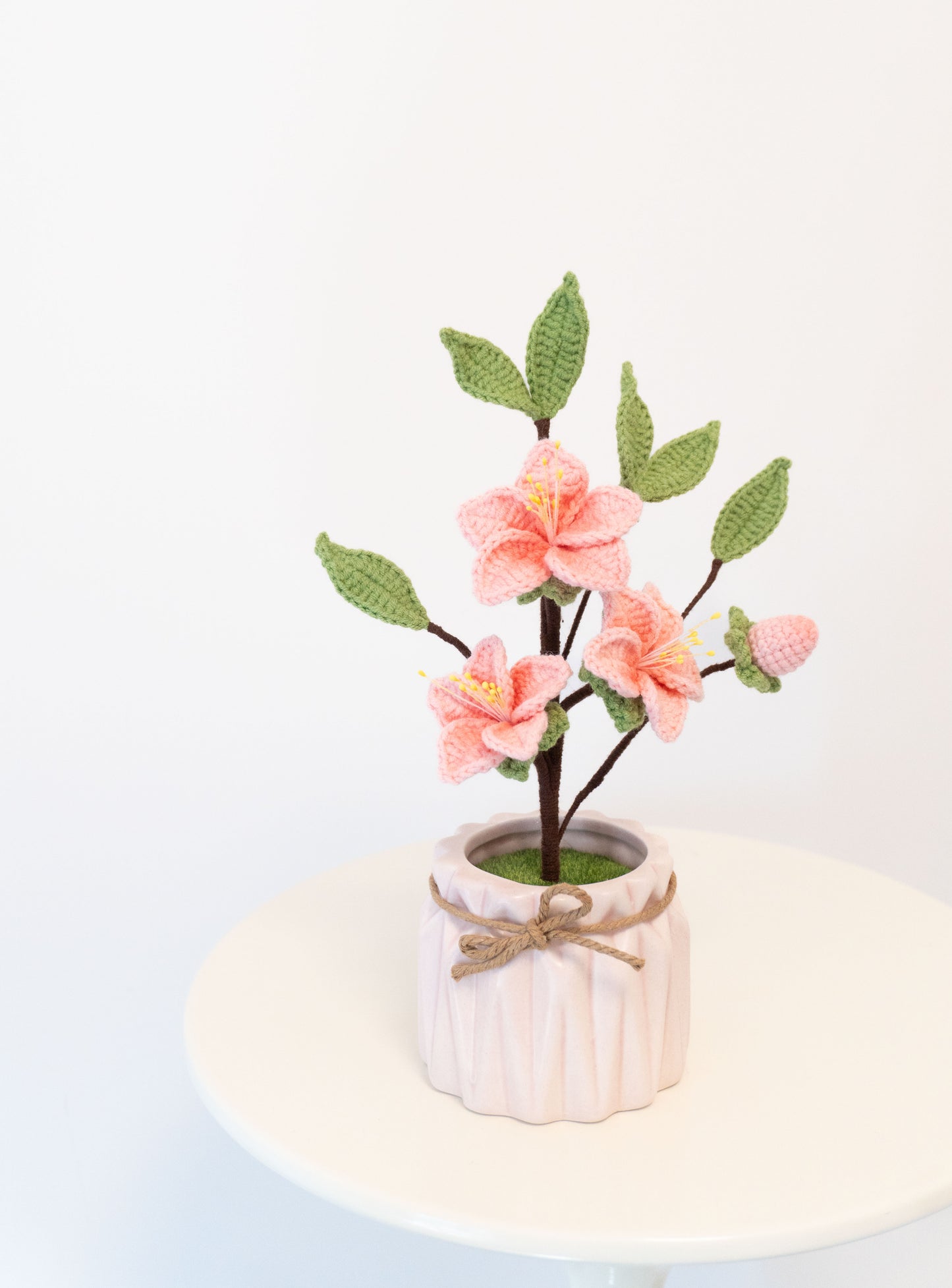 더 블룸스🌸 복숭아꽃 무늬로 엮은 화분 식물