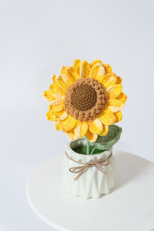 Appolo🌻編織大向日葵盆裁