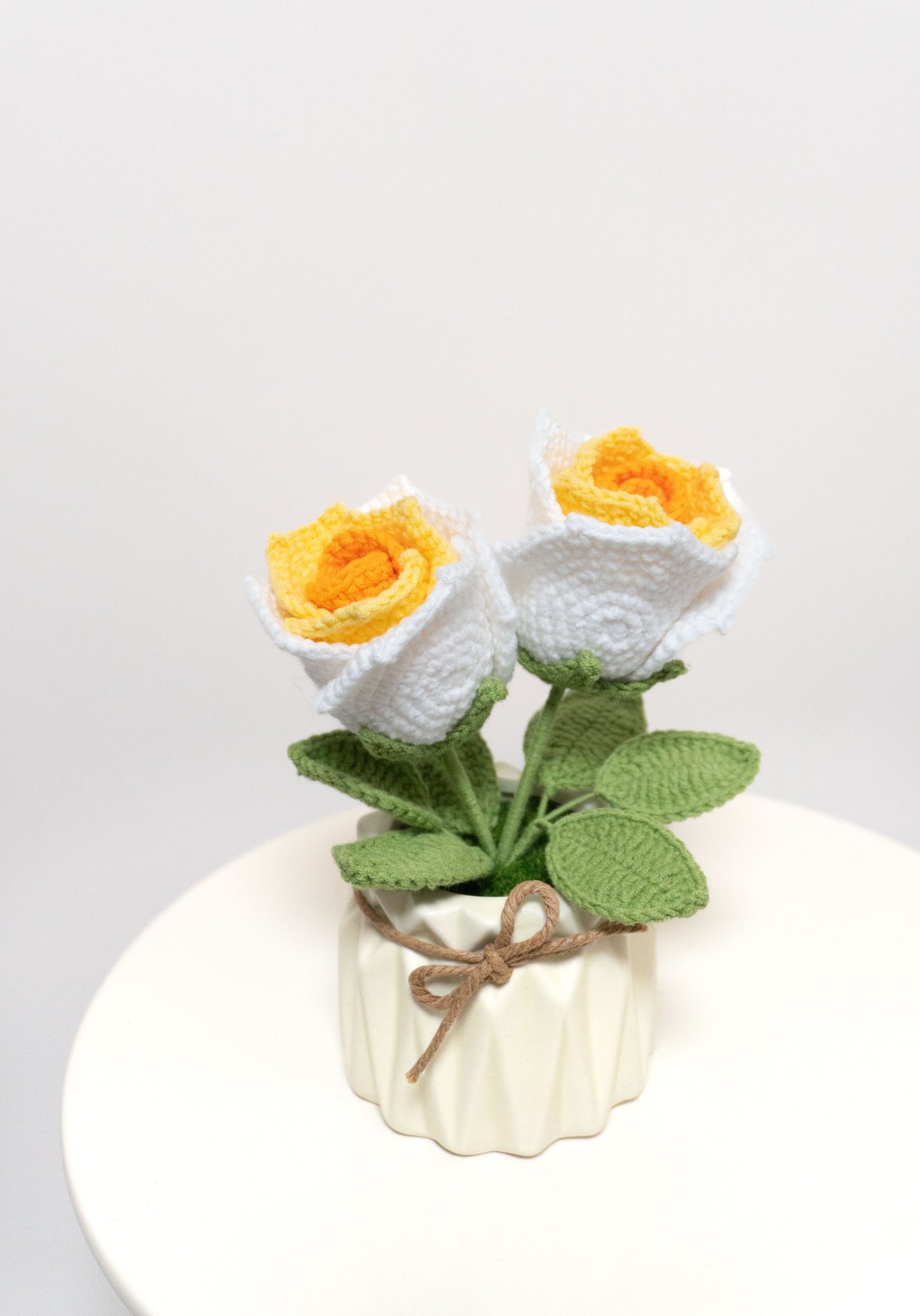 Rose🌹編織玫瑰小盆裁，多色可選