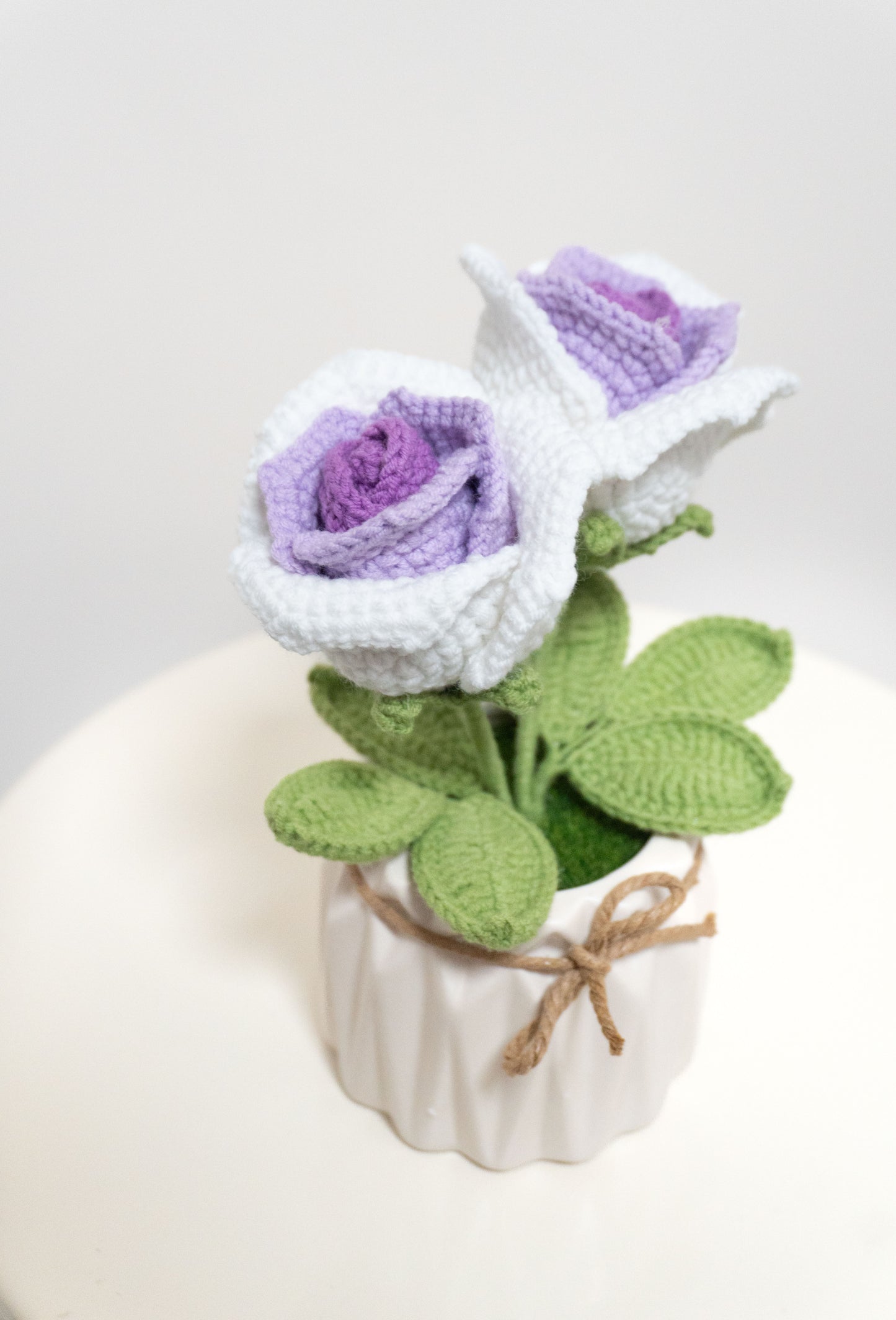 Rose🌹編織玫瑰小盆裁，多色可選